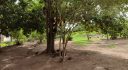 Rancho Loteamento Primavera