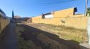 RUA 29 N° 971 AP 01
